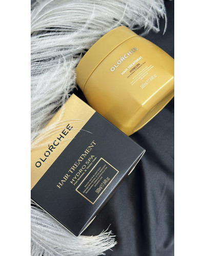 Маска для інтенсивного зволоження волосся Olorchee Hair Treatment Hydro Spa
