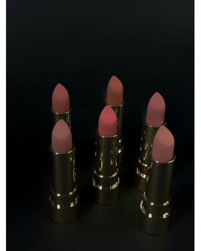 Помада для губ матова TopFace "ProHD Soft Matte" — PT158