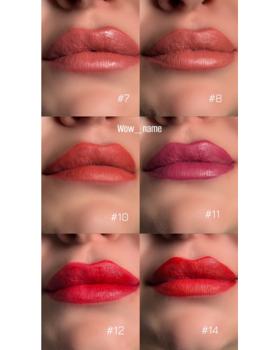 Матова помада рідка для губ Liquid Matte Lipstick Spice Travel Bogenia