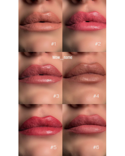 Матова помада рідка для губ Liquid Matte Lipstick Spice Travel Bogenia