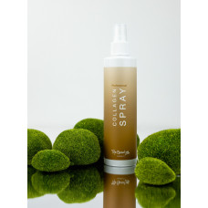 Спрей реконструктор для волосся з колагеном 250 мл Top beauty Collagen