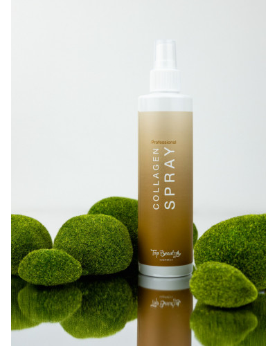 Спрей реконструктор для волосся з колагеном 250 мл Top beauty Collagen