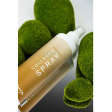 Спрей реконструктор для волосся з колагеном 250 мл Top beauty Collagen