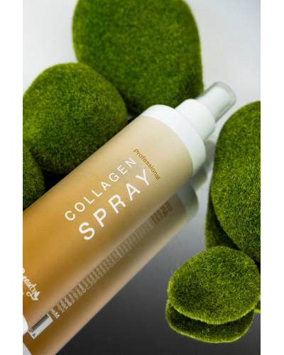 Спрей реконструктор для волосся з колагеном 250 мл Top beauty Collagen