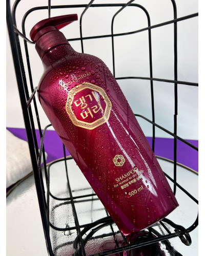 Шампунь для нормального та сухого волосся Daeng Gi Meo Ri Shampoo